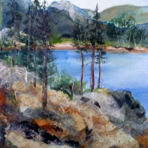 various prints