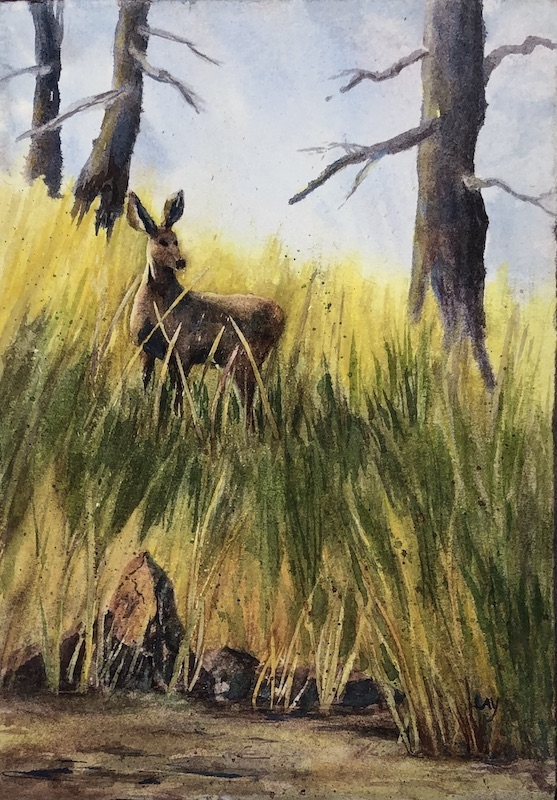Water color art painting of deer in tall grass